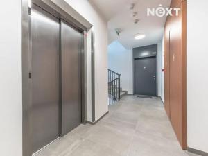 Pronájem bytu 2+kk, Praha - Nusle, Závišova, 48 m2