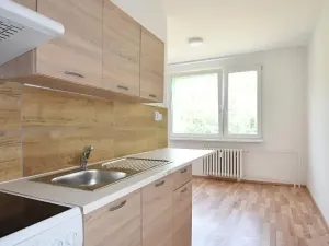 Pronájem bytu 1+1, Jirkov, Krušnohorská, 40 m2