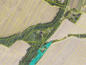 Prodej zahrady, Nesuchyně, 3472 m2