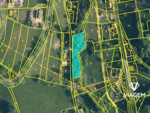 Prodej podílu lesa, Zlatá Olešnice, 481 m2