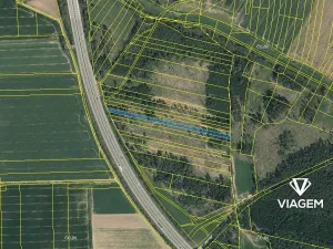 Prodej lesa, Studený, 2981 m2