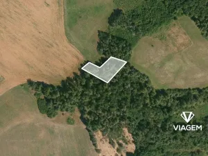 Prodej lesa, Kbel, 1072 m2