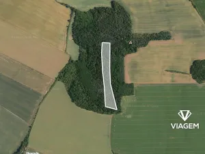 Prodej podílu lesa, Plaňany, 454 m2