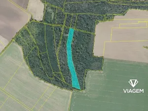 Prodej podílu lesa, Plaňany, 454 m2