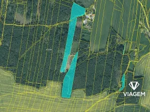 Prodej podílu lesa, Losiná, 2635 m2