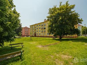 Prodej bytu 3+1, Ostrov, S. K. Neumanna, 68 m2