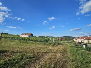 Prodej pozemku pro bydlení, Starý Poddvorov, 800 m2