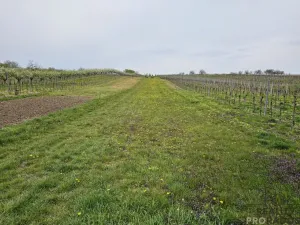 Prodej pozemku pro bydlení, Starý Poddvorov, 800 m2