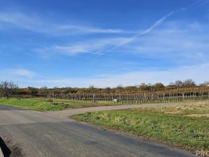 Prodej pozemku pro bydlení, Starý Poddvorov, 814 m2