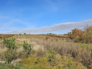 Prodej pozemku pro bydlení, Starý Poddvorov, 814 m2