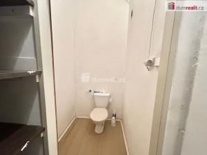 Pronájem obchodního prostoru, Kolín - Kolín I, Zámecká, 36 m2