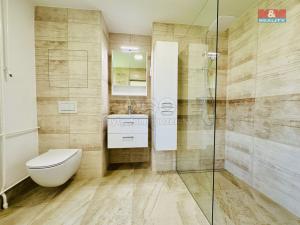Pronájem bytu 3+kk, Oslavany, Moravská, 69 m2