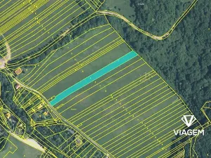 Prodej podílu pole, Javorník, 471 m2