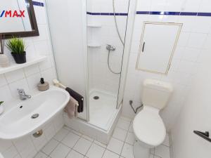 Pronájem bytu 1+1, Litvínov - Horní Litvínov, Podkrušnohorská, 29 m2