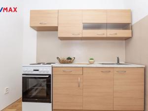 Pronájem bytu 1+1, Litvínov - Horní Litvínov, Podkrušnohorská, 29 m2