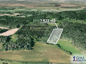 Prodej lesa, Budětice, 7622 m2