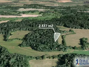 Prodej lesa, Pačejov, 2837 m2