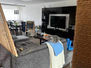 Prodej rodinného domu, Nové Strašecí, 200 m2