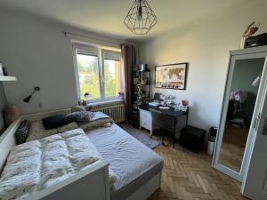 Prodej bytu 3+1, Pardubice - Zelené Předměstí, Pichlova, 63 m2