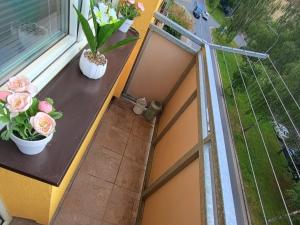 Prodej bytu 3+1, Pardubice - Zelené Předměstí, Pichlova, 63 m2