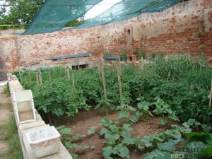 Prodej rodinného domu, Hořesedly, 219 m2