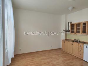 Pronájem bytu 1+kk, České Budějovice - České Budějovice 3, Riegrova, 25 m2
