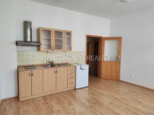 Pronájem bytu 1+kk, České Budějovice - České Budějovice 3, Riegrova, 25 m2