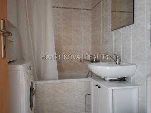 Pronájem bytu 1+kk, České Budějovice - České Budějovice 3, Riegrova, 25 m2