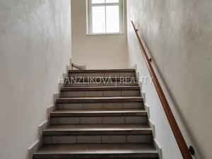 Pronájem bytu 1+kk, České Budějovice - České Budějovice 3, Riegrova, 25 m2