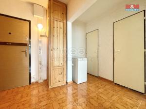 Prodej bytu 2+kk, Teplice - Trnovany, Arbesova, 47 m2