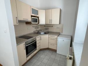 Pronájem bytu 1+kk, České Budějovice, Skuherského, 41 m2