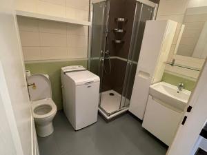 Pronájem bytu 1+kk, České Budějovice, Skuherského, 41 m2