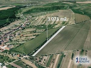 Prodej podílu pole, Nosislav, 768 m2