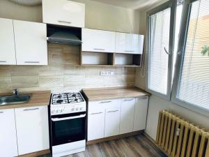 Pronájem bytu 1+1, Kladno, Čs. armády, 29 m2