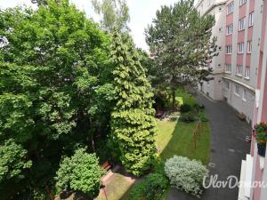 Prodej bytu 2+1, Praha - Žižkov, Malešická, 59 m2