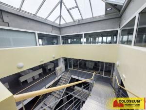 Pronájem kanceláře, Brno - Horní Heršpice, 2500 m2