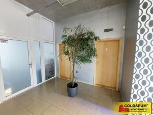 Pronájem kanceláře, Brno - Horní Heršpice, 2500 m2