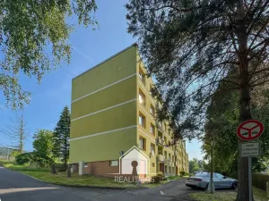 Prodej bytu 1+1, Jílové, Družstevní, 30 m2