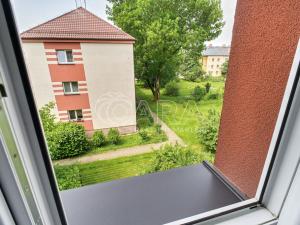 Prodej bytu 2+1, Ostrava, Nedbalova, 67 m2