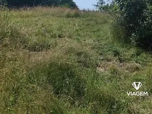Prodej zahrady, Hrusice, 1427 m2