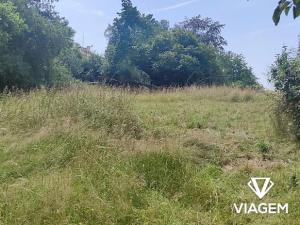Prodej zahrady, Hrusice, 1427 m2