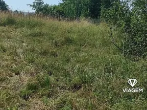 Prodej zahrady, Hrusice, 1427 m2