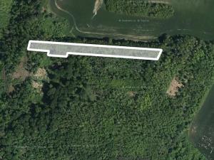 Prodej lesa, Medlice, 3003 m2
