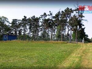 Prodej lesa, Unhošť, 3111 m2