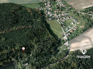 Prodej lesa, Veliny, 7964 m2