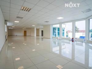 Pronájem obchodního prostoru, Hradec Králové, Víta Nejedlého, 300 m2