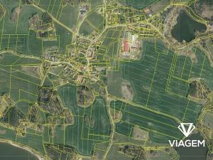 Prodej podílu lesa, Kadov, 1105 m2