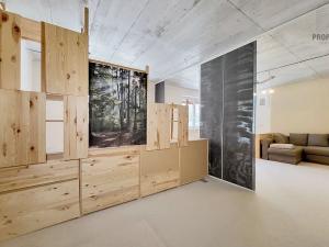 Prodej bytu 1+kk, Brno, Sentická, 68 m2
