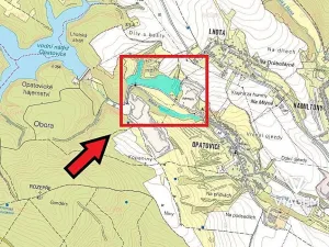 Prodej podílu lesa, Vyškov, 11163 m2