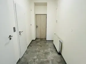 Pronájem bytu 3+kk, Praha, 100 m2